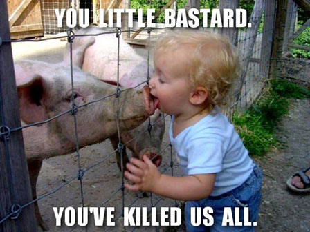 from-&gt; http://thechive.com/2009/04/kid-kissing-pig-with-swine-flu/